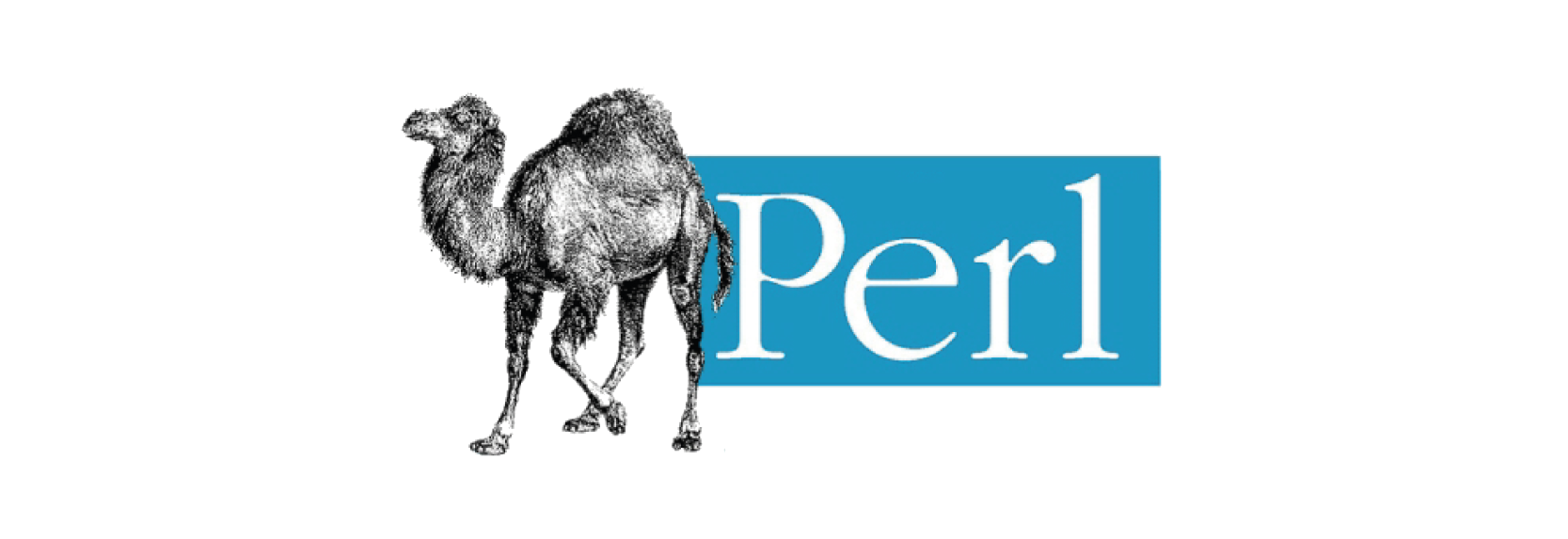 Am world com. Perl логотип. Perl язык программирования. Pearl язык программирования. Perl без фона.
