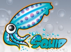 squid-cache logo