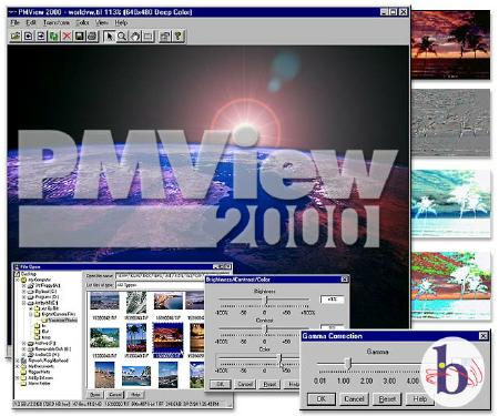 Snap shot from www.pmView.Com