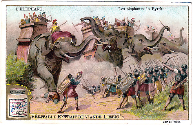 File:War-elephant.jpg