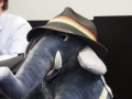 IBM OS/2 Stuffed Elephant, with a hat from Warpstock Europe 2017.