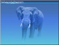Thumbnail for version as of 16:55, 31 May 2013