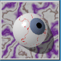 Thumbnail for version as of 23:38, 10 September 2016