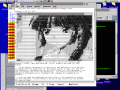 Thumbnail for version as of 01:25, 10 October 2021