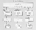 Thumbnail for version as of 03:29, 22 October 2017
