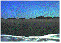 Thumbnail for version as of 14:07, 31 October 2017