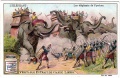 Elephants at war