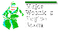 Thumbnail for version as of 03:23, 28 October 2017