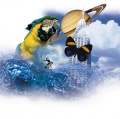Thumbnail for version as of 09:46, 25 March 2016