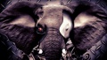 Inspirational Elephant Borg