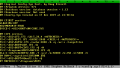 Thumbnail for version as of 03:43, 9 March 2020